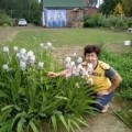 Аватарка пользователя