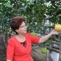 Аватарка пользователя