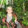 Аватарка пользователя