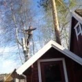 Аватарка пользователя