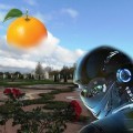 Александр Ораниенбаум