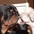 Аватарка пользователя