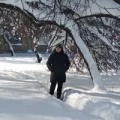 Аватарка пользователя