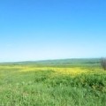 Аватарка пользователя