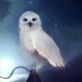 Аватарка пользователя