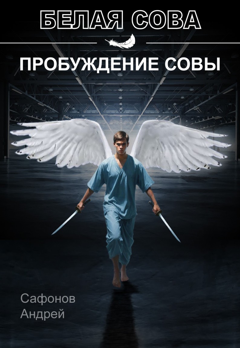 Пробуждение совы - Андрей С