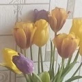 Аватарка пользователя