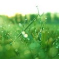 Аватарка пользователя