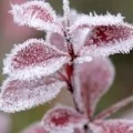 Аватарка пользователя