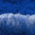 Аватарка пользователя