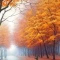 Аватарка пользователя