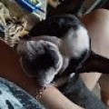 Аватарка пользователя
