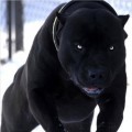 Аватарка пользователя