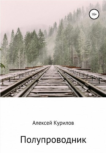 Полупроводник - Алексей Курилов