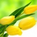 Аватарка пользователя