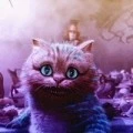 Аватарка пользователя