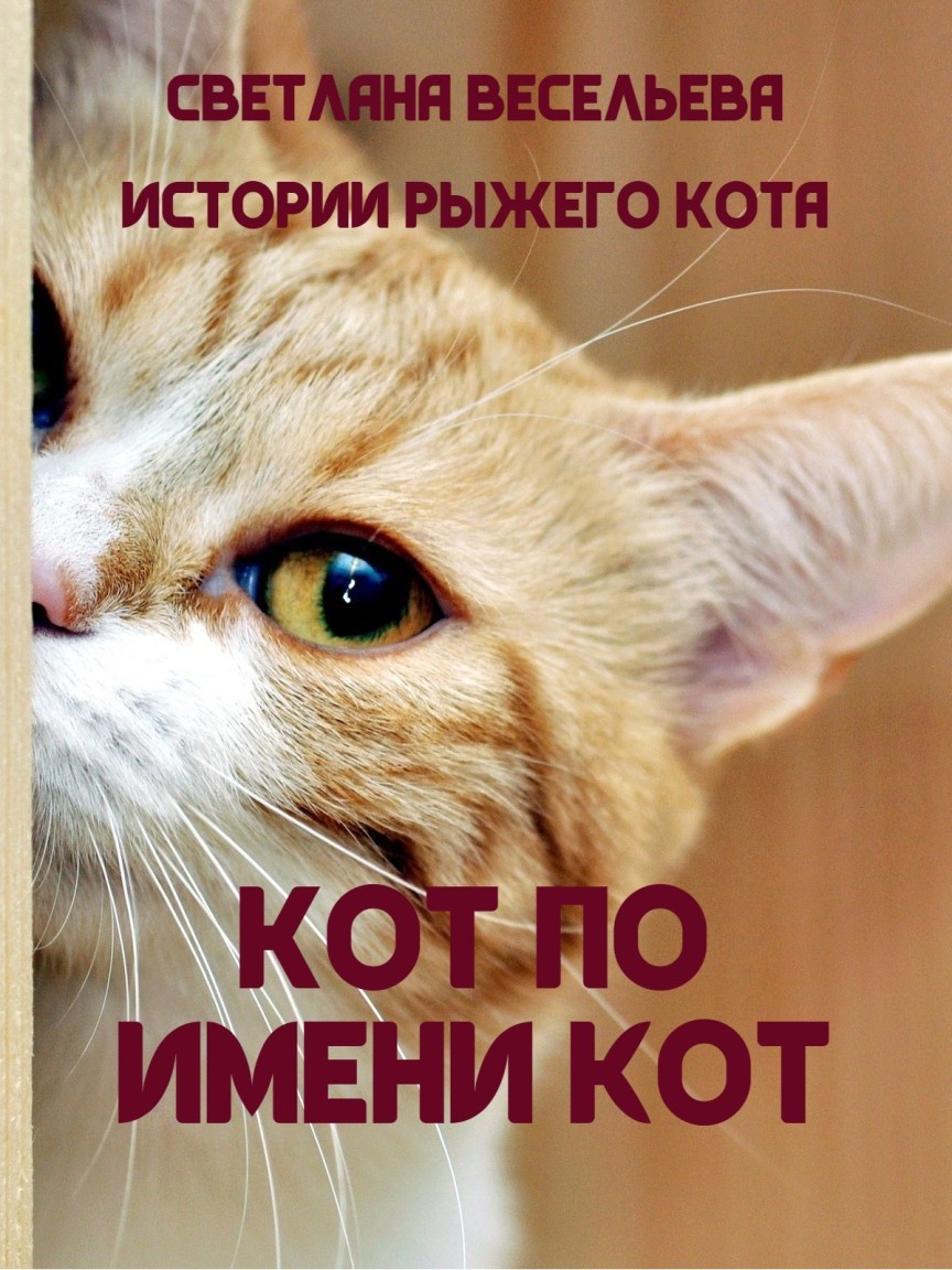 Кот по имени Кот - Светлана Весельева