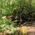 Аватарка пользователя