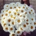 Аватарка пользователя
