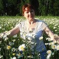Аватарка пользователя