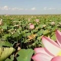 Аватарка пользователя