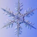 Аватарка пользователя