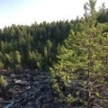 Аватарка пользователя