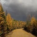 Аватарка пользователя