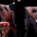 Аватарка пользователя