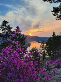 Все книги автора Сергей Напольский